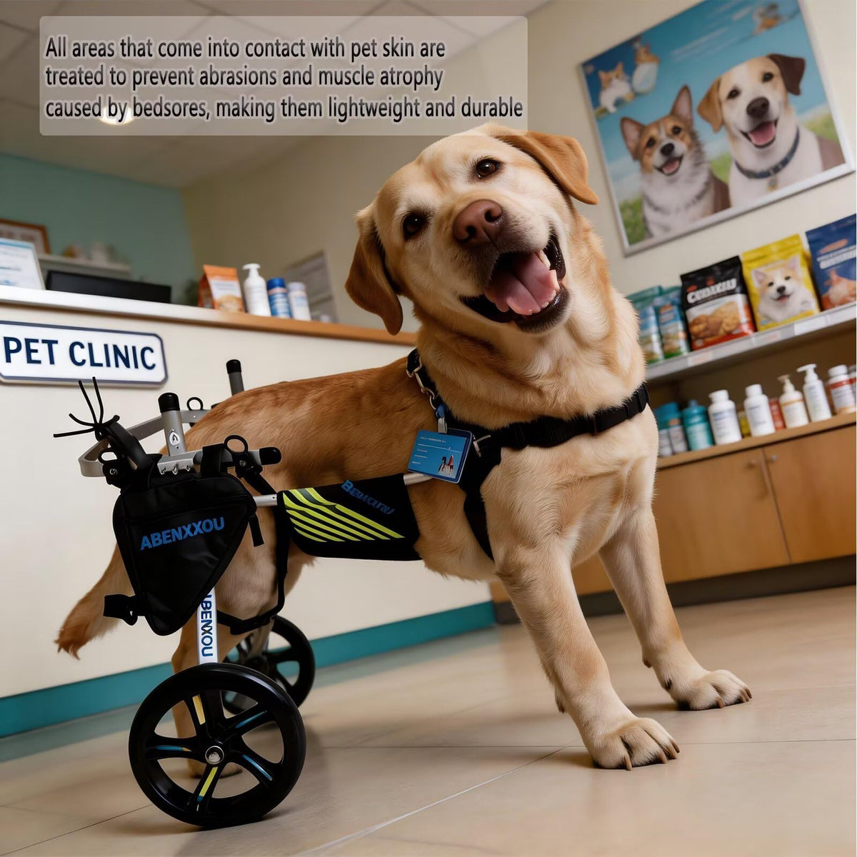 ABenxxou Adjustable Dog Wheelchair for Medium & Large Dogs XXL