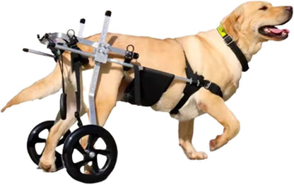 Rmeet Dog Wheelchair for Hind Legs | Medium to XXL Rehabilitation