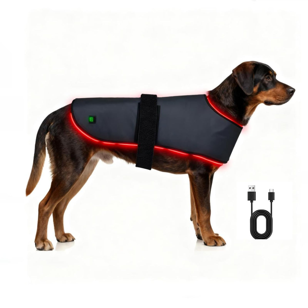 Pet Red Light Therapy Belt 660nm & 850nm – Dogs & Cats, L Size