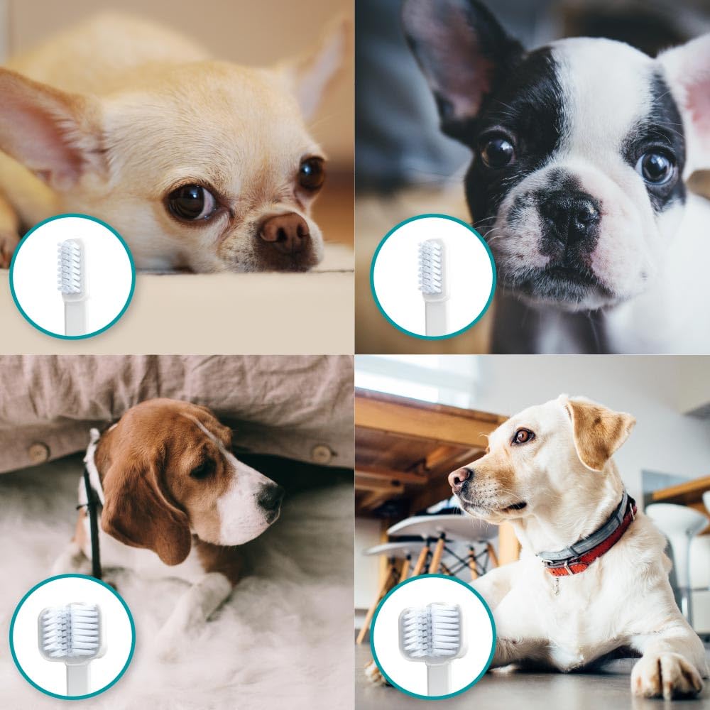 Cleanyteeth Ultrasonic Dog Toothbrush Starter Kit – All Breeds