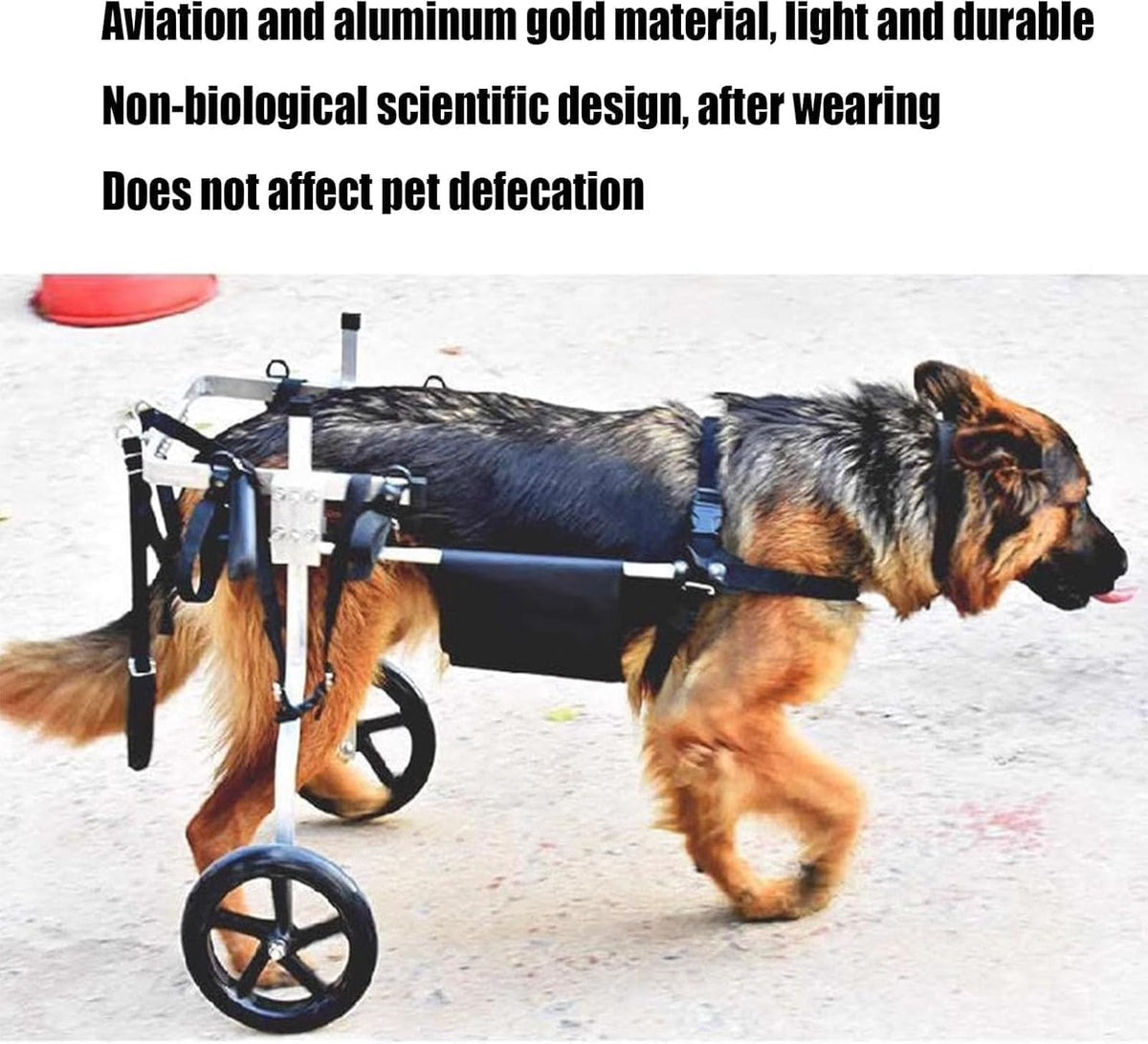 Rmeet Dog Wheelchair for Hind Legs | Medium to XXL Rehabilitation