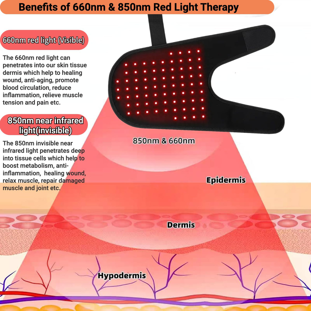 Pet Red Light Therapy Belt 660nm & 850nm – Dogs & Cats, L Size