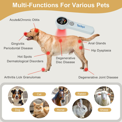 Tacbyz Cold Laser Therapy Device for Dogs Cats & Horses | Handheld