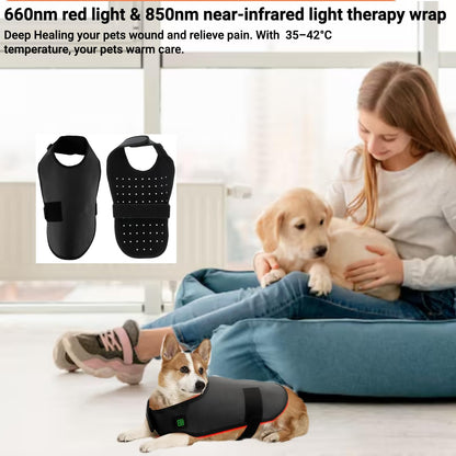 Pet Red Light Therapy Belt 660nm & 850nm – Dogs & Cats, L Size
