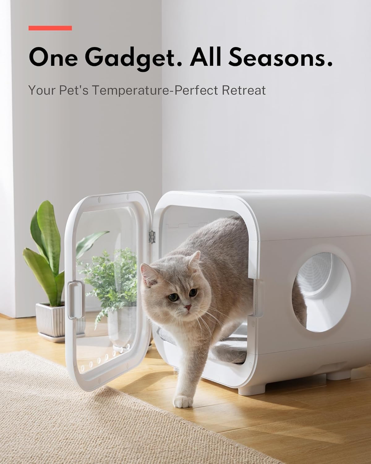 HomeRunPet Drybo Plus Automatic Pet Dryer for Cats & Small Dogs