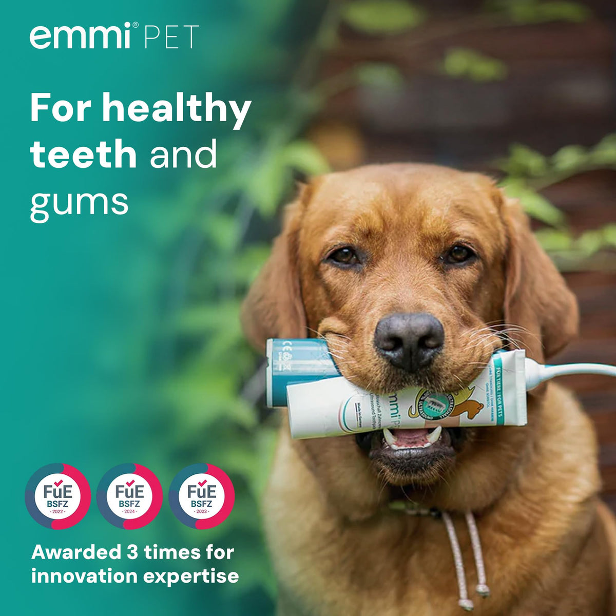 Emmi-Pet 2.0 Ultrasonic Dog & Cat Toothbrush with Toothpaste 75ml