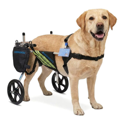 ABenxxou Adjustable Dog Wheelchair for Medium & Large Dogs XXL