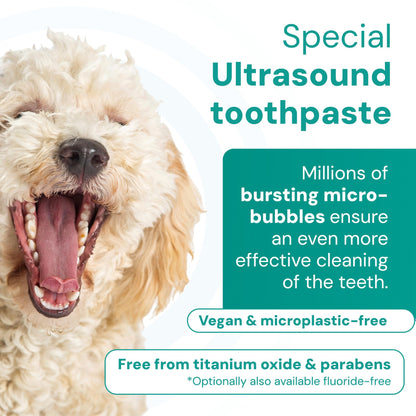Emmi-Pet 2.0 Ultrasonic Dog & Cat Toothbrush with Toothpaste 75ml