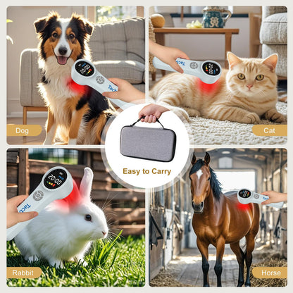 Tacbyz Cold Laser Therapy Device for Dogs Cats & Horses | Handheld